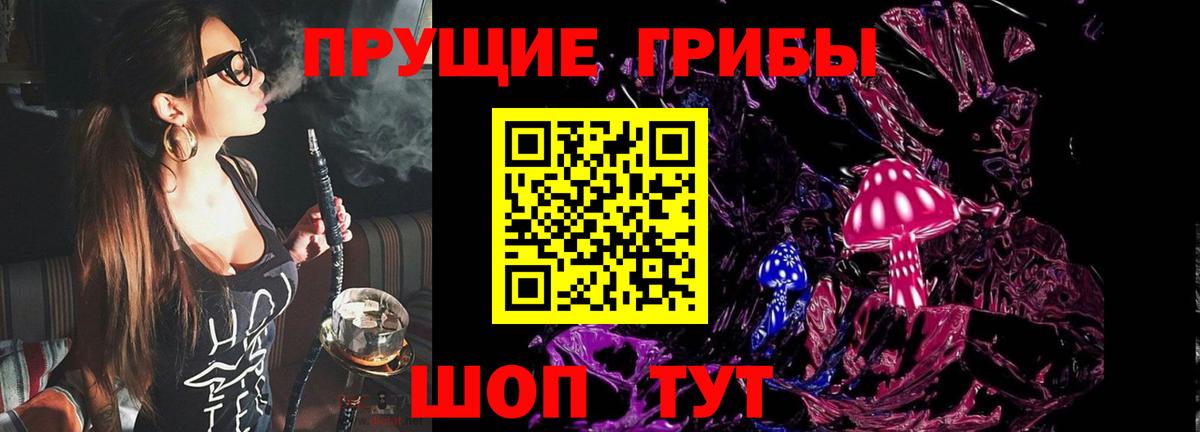 Киселёвск  Галлюциногенные грибы Magic Shrooms  Вход с VPN 