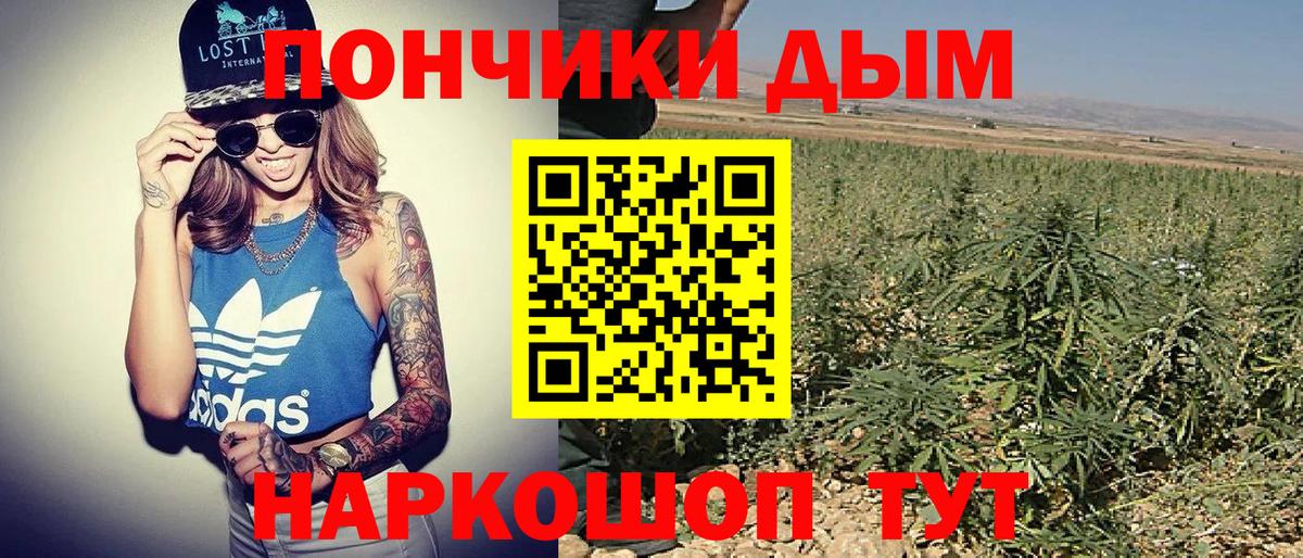 Бошки марихуана сатива  Вход с VPN  Канабис конопля  Киселёвск  МАРИХУАНА OG Kush  Марихуана Amnesia 